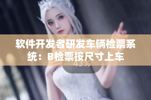 软件开发者研发车辆检票系统：B检票按尺寸上车