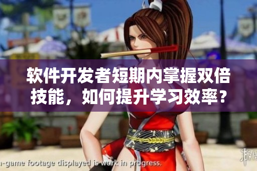 软件开发者短期内掌握双倍技能，如何提升学习效率？