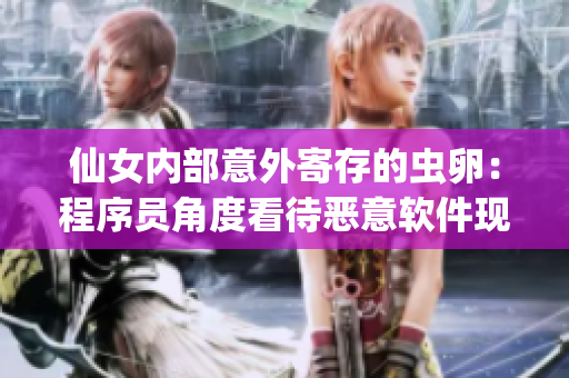 仙女内部意外寄存的虫卵：程序员角度看待恶意软件现象