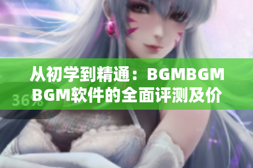 从初学到精通：BGMBGMBGM软件的全面评测及价格分析