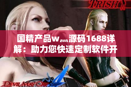 国精产品w灬源码1688详解：助力您快速定制软件开发的有效工具