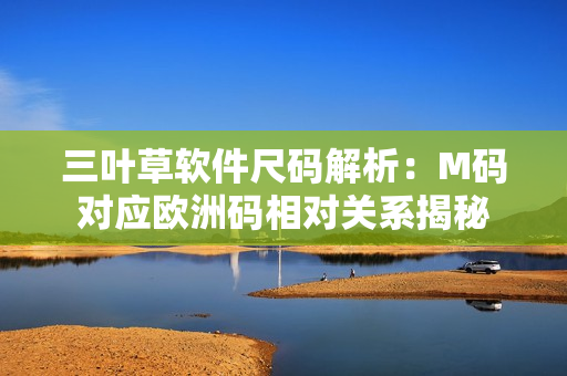 三叶草软件尺码解析：M码对应欧洲码相对关系揭秘