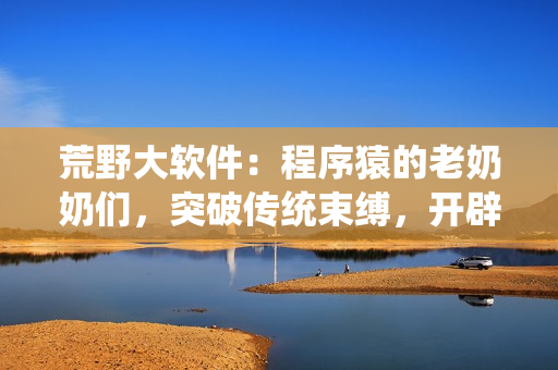 荒野大软件：程序猿的老奶奶们，突破传统束缚，开辟编程新境界