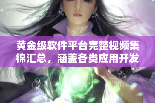 黄金级软件平台完整视频集锦汇总，涵盖各类应用开发技巧与实例展示