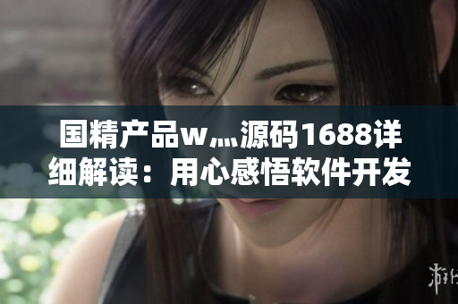 国精产品w灬源码1688详细解读：用心感悟软件开发之美