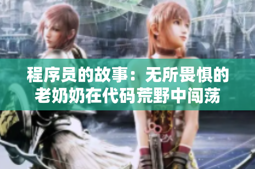 程序员的故事：无所畏惧的老奶奶在代码荒野中闯荡