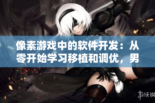 像素游戏中的软件开发：从零开始学习移植和调优，男孩女孩一样好！