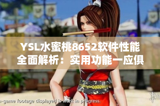 YSL水蜜桃8652软件性能全面解析：实用功能一应俱全，性能稳定高效