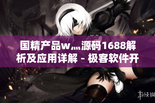 国精产品w灬源码1688解析及应用详解 - 极客软件开发技巧