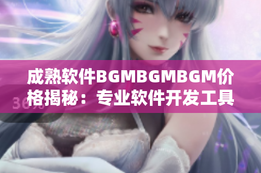 成熟软件BGMBGMBGM价格揭秘：专业软件开发工具成本全解析