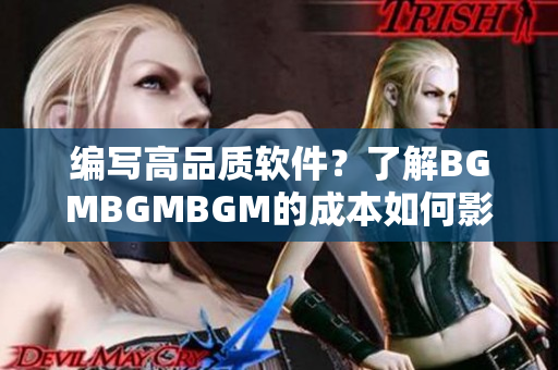 编写高品质软件？了解BGMBGMBGM的成本如何影响您的投资决策