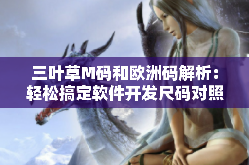 三叶草M码和欧洲码解析：轻松搞定软件开发尺码对照