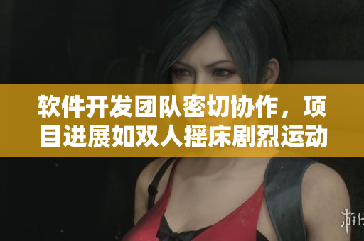 软件开发团队密切协作，项目进展如双人摇床剧烈运动