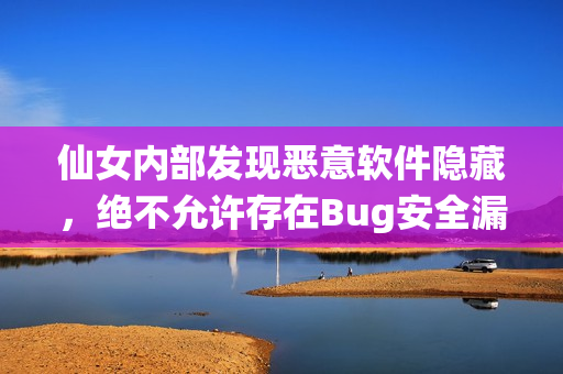 仙女内部发现恶意软件隐藏，绝不允许存在Bug安全漏洞