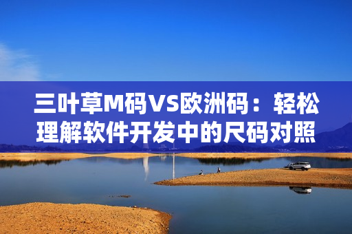 三叶草M码VS欧洲码：轻松理解软件开发中的尺码对照