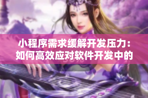 小程序需求缓解开发压力：如何高效应对软件开发中的灾难