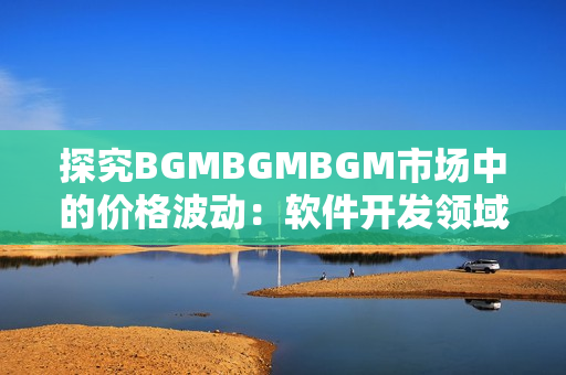 探究BGMBGMBGM市场中的价格波动：软件开发领域的现状