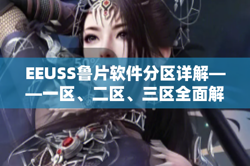 EEUSS鲁片软件分区详解——一区、二区、三区全面解析