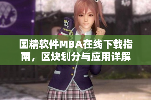国精软件MBA在线下载指南，区块划分与应用详解