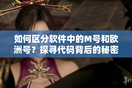 如何区分软件中的M号和欧洲号？探寻代码背后的秘密