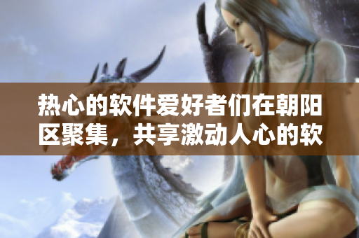 热心的软件爱好者们在朝阳区聚集，共享激动人心的软件乐趣
