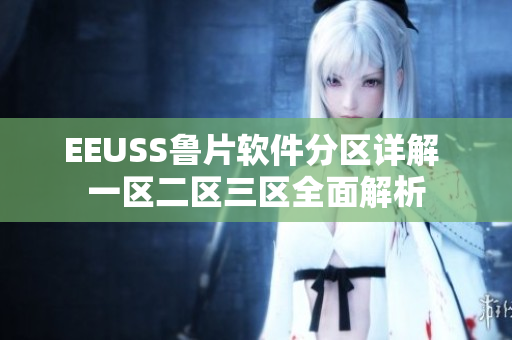 EEUSS鲁片软件分区详解 一区二区三区全面解析
