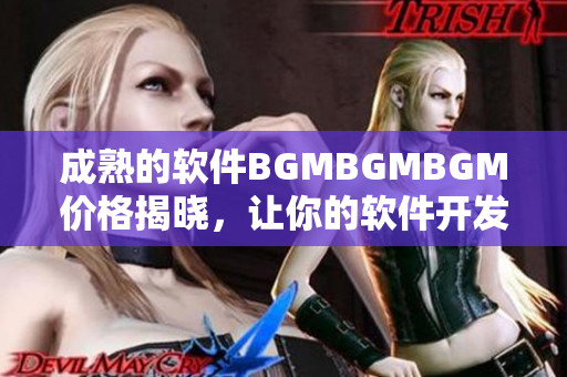成熟的软件BGMBGMBGM价格揭晓，让你的软件开发更高效
