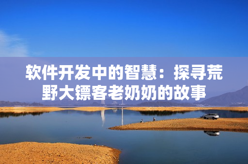 软件开发中的智慧：探寻荒野大镖客老奶奶的故事