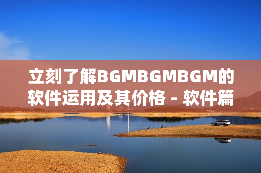 立刻了解BGMBGMBGM的软件运用及其价格 - 软件篇