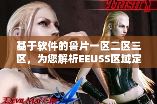 基于软件的鲁片一区二区三区，为您解析EEUSS区域定位