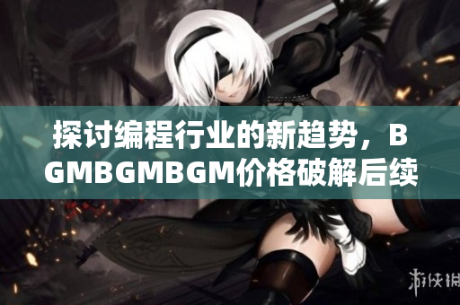 探讨编程行业的新趋势，BGMBGMBGM价格破解后续风险