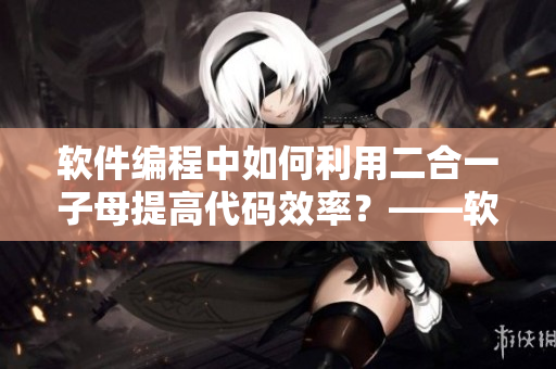 软件编程中如何利用二合一子母提高代码效率？——软件开发技巧分享