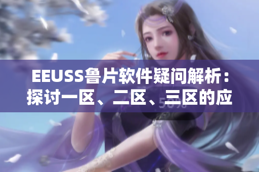 EEUSS鲁片软件疑问解析：探讨一区、二区、三区的应用场景