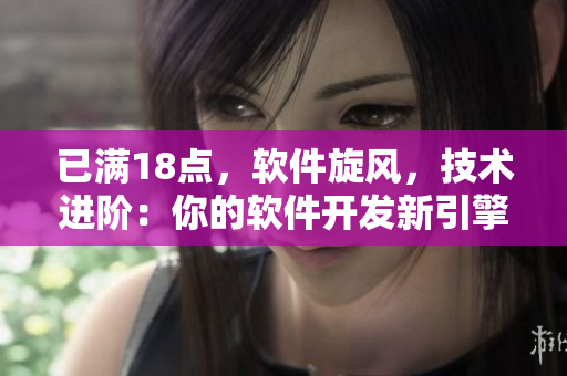 已满18点，软件旋风，技术进阶：你的软件开发新引擎