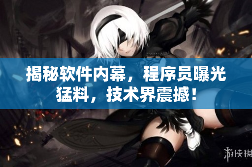 揭秘软件内幕，程序员曝光猛料，技术界震撼！