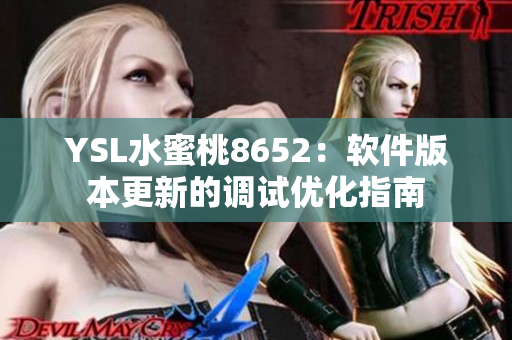 YSL水蜜桃8652：软件版本更新的调试优化指南