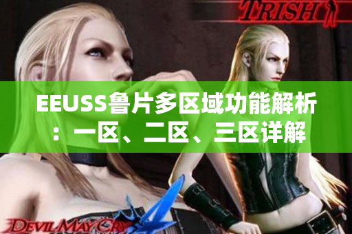 EEUSS鲁片多区域功能解析：一区、二区、三区详解