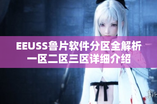 EEUSS鲁片软件分区全解析一区二区三区详细介绍