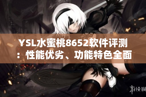 YSL水蜜桃8652软件评测：性能优劣、功能特色全面解析