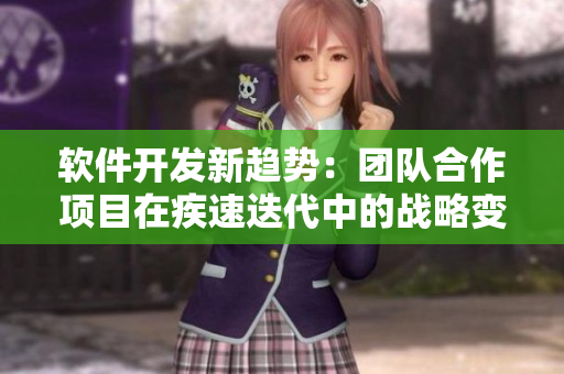软件开发新趋势：团队合作项目在疾速迭代中的战略变动