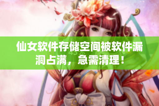 仙女软件存储空间被软件漏洞占满，急需清理！