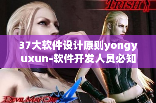 37大软件设计原则yongyuxun-软件开发人员必知