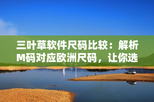 三叶草软件尺码比较：解析M码对应欧洲尺码，让你选购更自在
