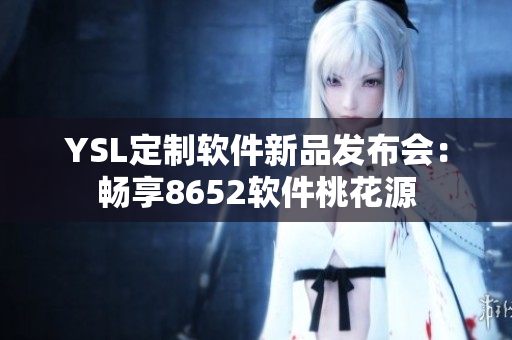 YSL定制软件新品发布会：畅享8652软件桃花源