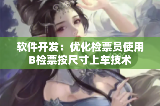 软件开发：优化检票员使用B检票按尺寸上车技术