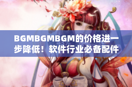 BGMBGMBGM的价格进一步降低！软件行业必备配件更加实惠