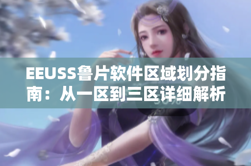 EEUSS鲁片软件区域划分指南：从一区到三区详细解析