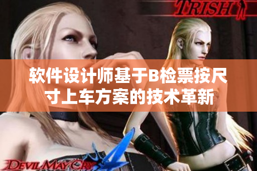 软件设计师基于B检票按尺寸上车方案的技术革新