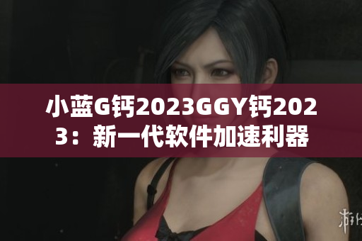 小蓝G钙2023GGY钙2023：新一代软件加速利器