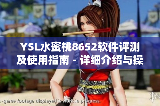 YSL水蜜桃8652软件评测及使用指南 - 详细介绍与操作技巧
